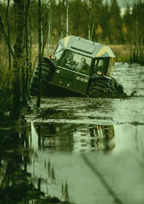 Цикл «Болотник»