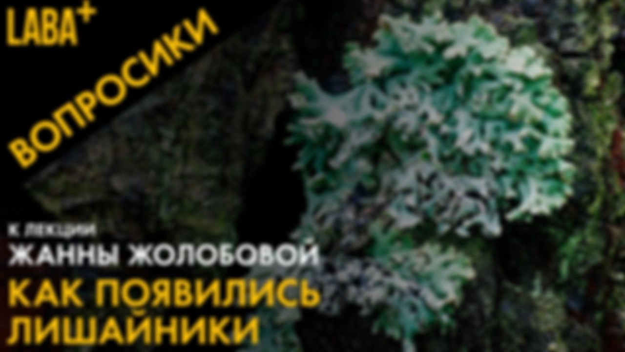 ВОПРОСИКИ к лекции Жанны Жолобовой «Как появились лишайники»