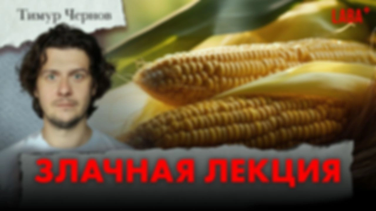 Злачная лекция. Тимур Чернов