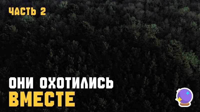 ОНИ ОХОТИЛИСЬ ВМЕСТЕ ► Жуткий случай с офицером полиции. Часть 2