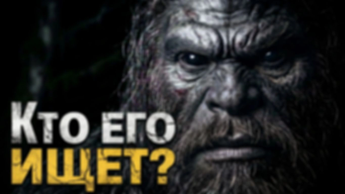 КТО ЕГО ИЩЕТ?