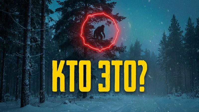 ОНИ НА ДЕРЕВЬЯХ! ► Смотрело сверху