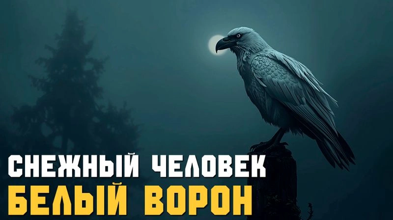 БЕЛЫЙ ВОРОН