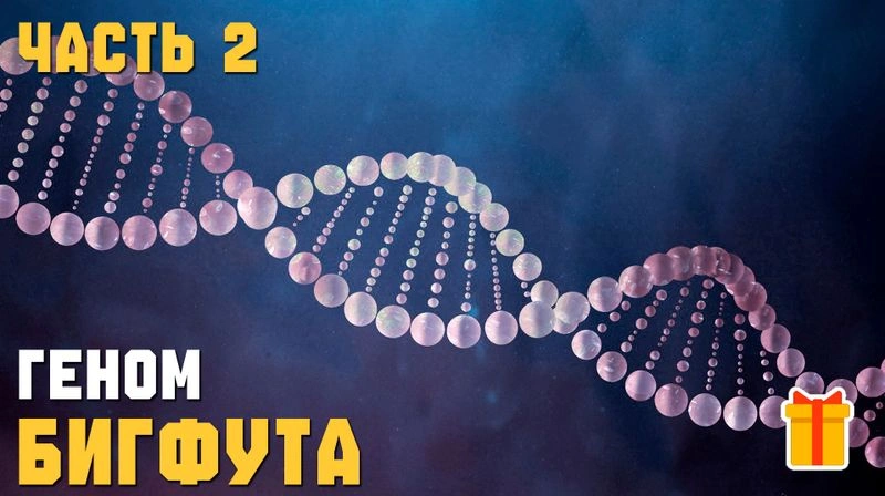 ЛЕКЦИЯ ДЭВИДА ПОЛАЙДЕСА ► ДНК БИГФУТА. Часть 2