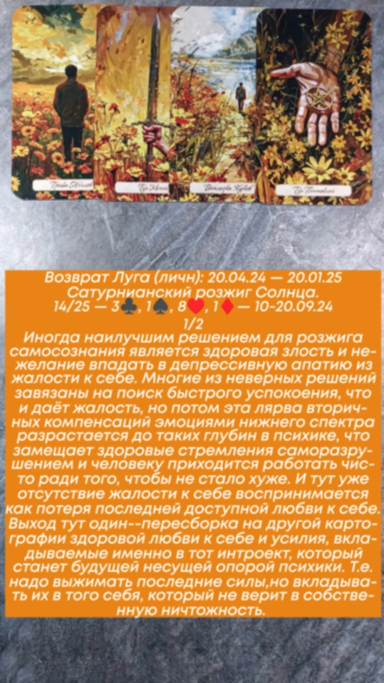 Сводный за 10.09.24