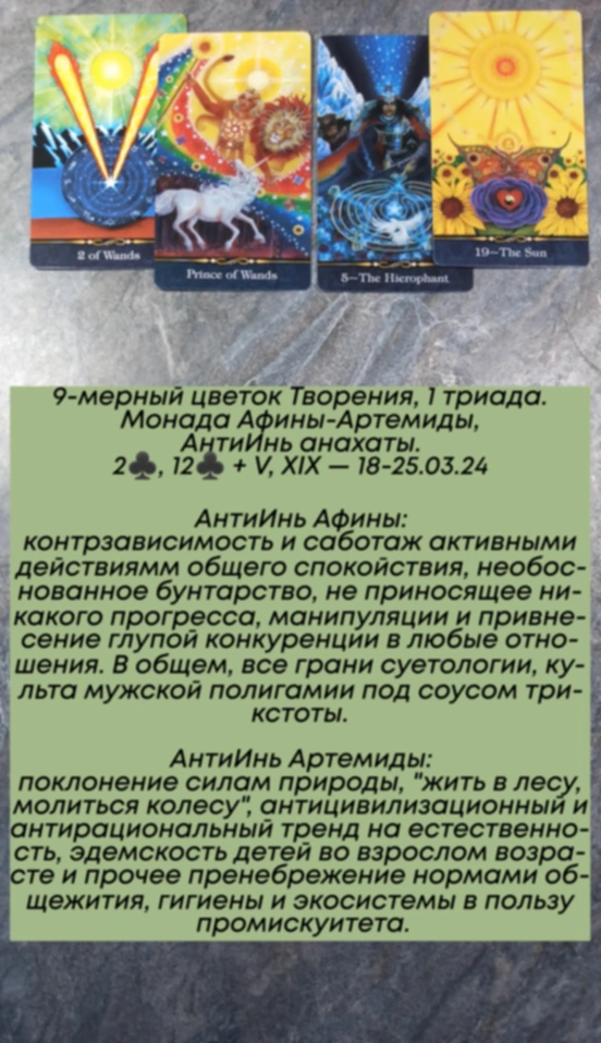 Аррокот 18-25.03.24