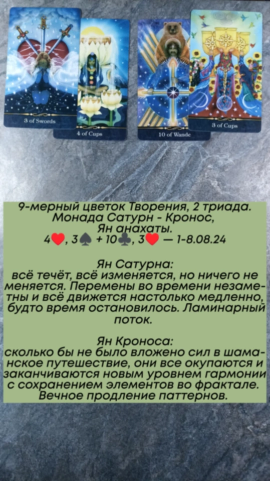 Аррокот 1-8.08.24
