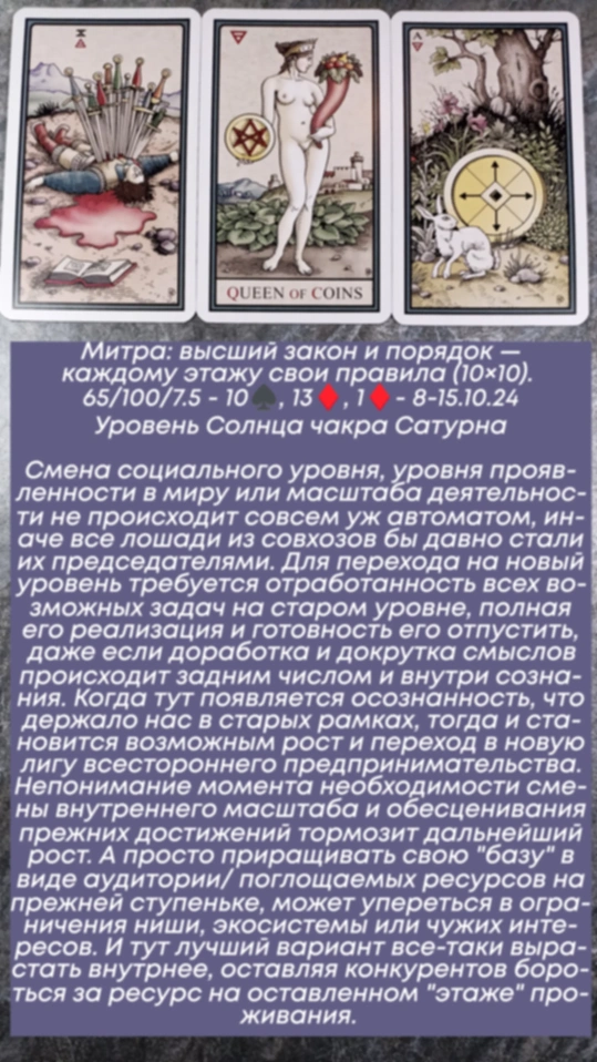 Сводный за 8.11.24