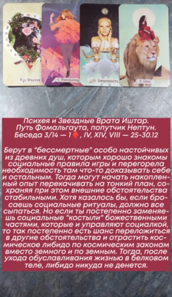 Психея 25-30.12