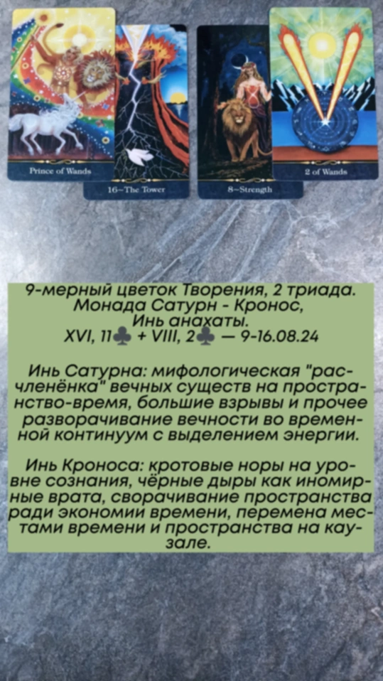 Аррокот 9-16.08.24