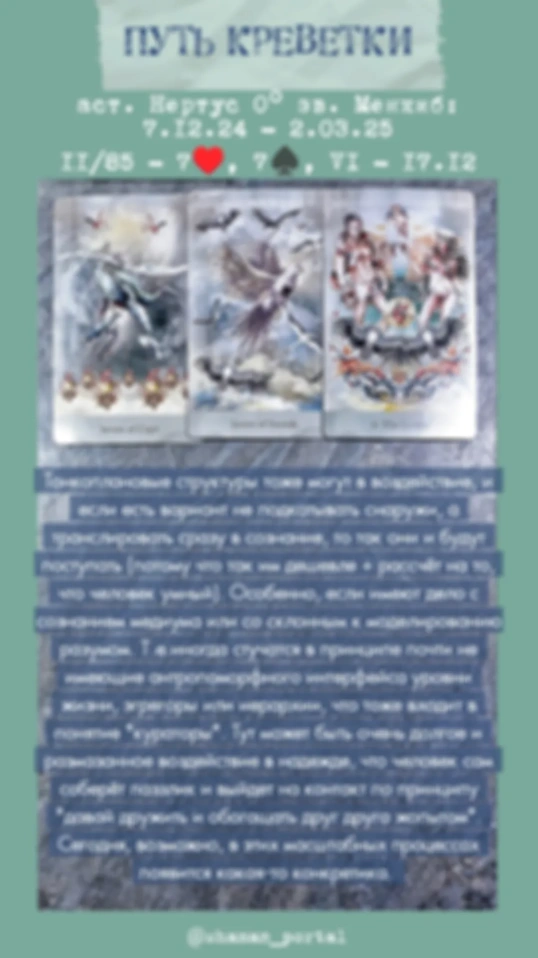 Сводный за 17.12.24