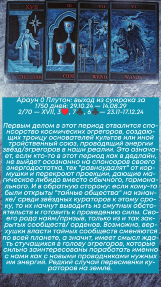 Сводный за 23.11.24