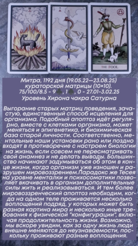 Сводный за 27.01.25