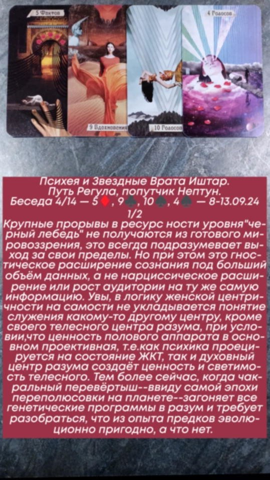 Сволный за 8.09.24