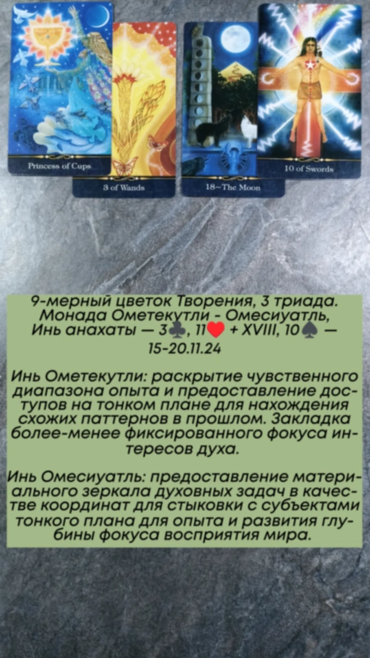 Сводный за 13.11.24