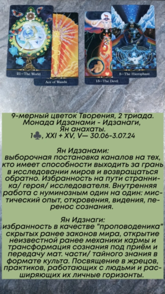 Аррокот 30.06-3.07.24