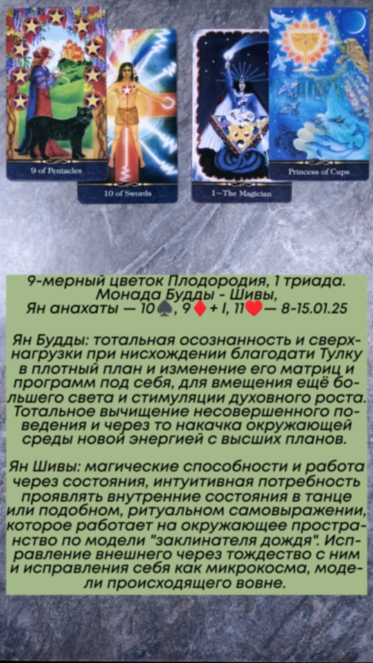 Сводный за 8.01.25