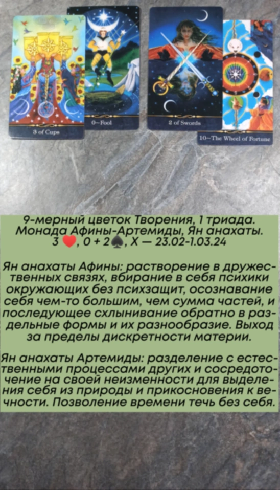 Аррокот 23.02-1.03.24