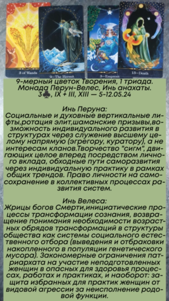 Аррокот 5-12.05.24