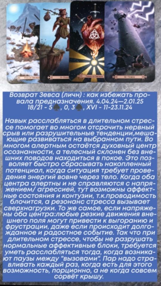Сводный за 11.11.24