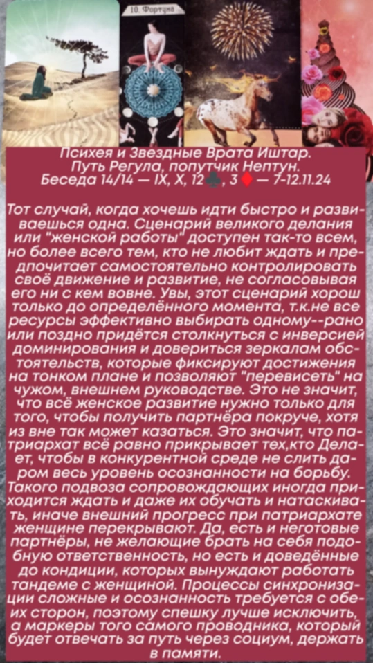 Сводный за 7.11.24