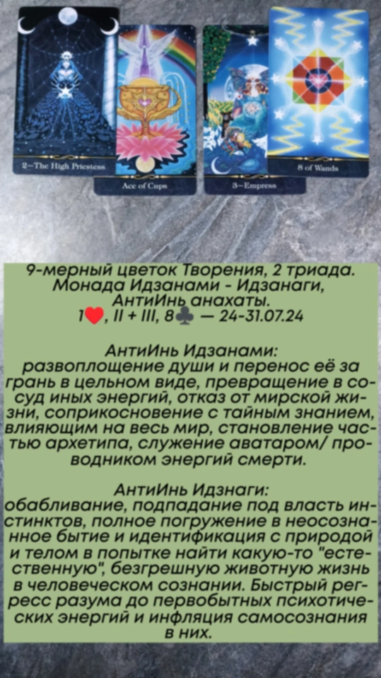 Аррокот 24-31.07.24