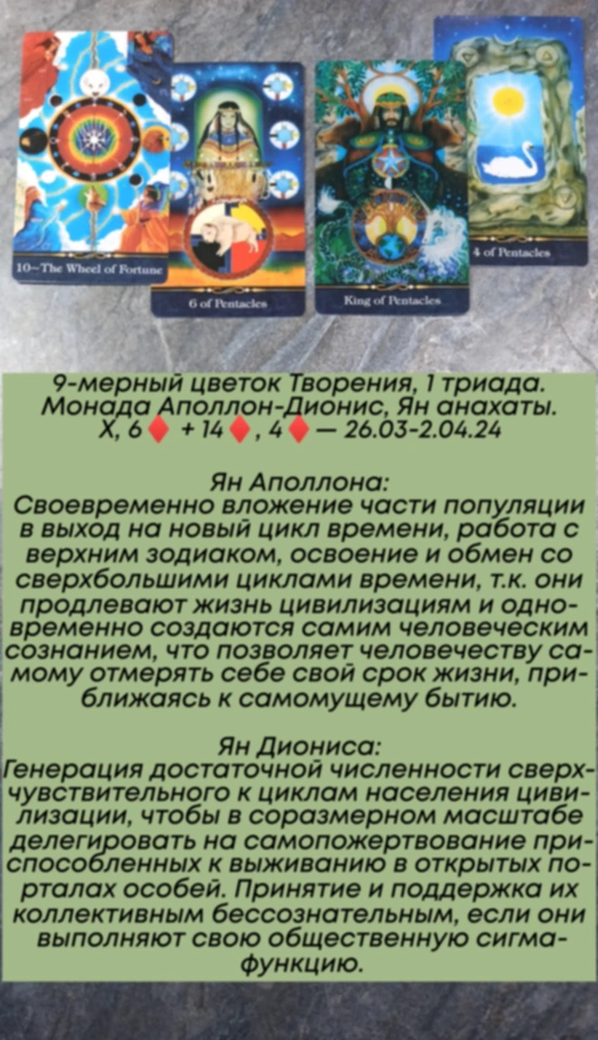 Аррокот 26.03-2.04