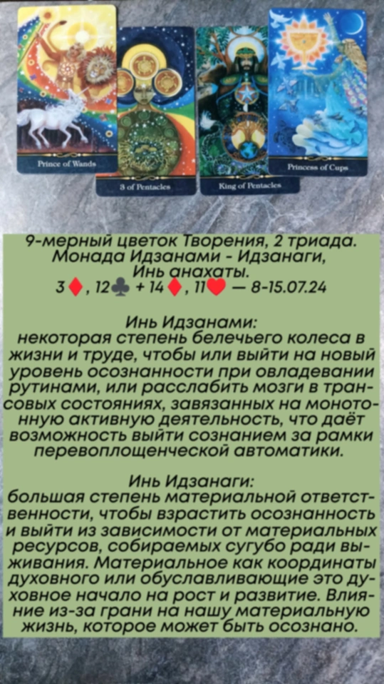 Аррокот 8-15.07.24