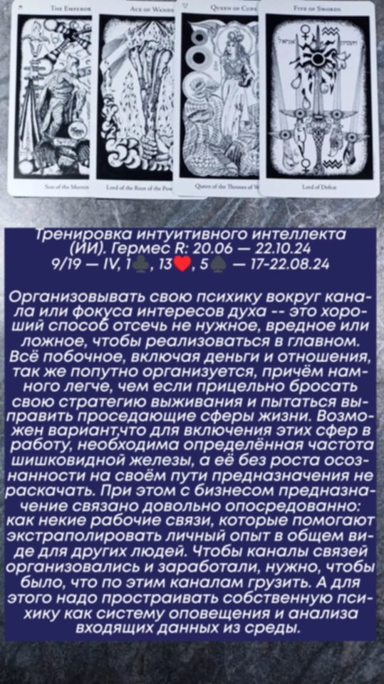 Сводный за 17.08.24