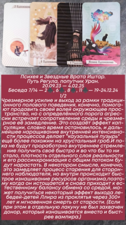 Сводный за 19.12.24