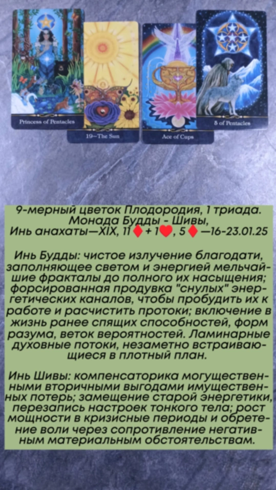Сводный за 16.01.25