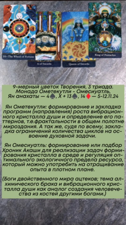 Сводный за 5.11.24