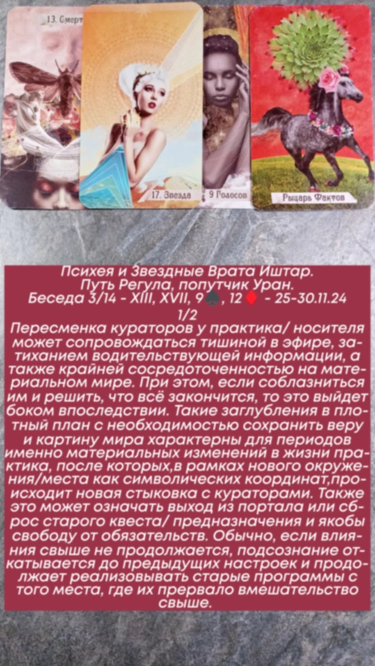 Сводный за 25.11.24