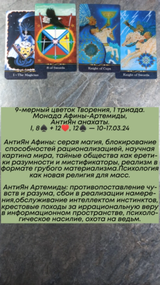 Аррокот 10-15.03.24
