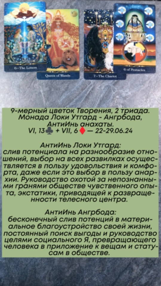 Аррокот 22-29.06.24