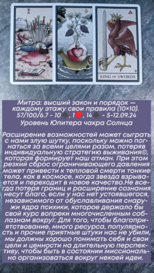 Сводный за 5.09.24