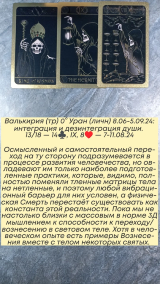 Сводный за 7.08.24