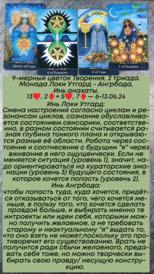 Аррокот 6-13.06.24