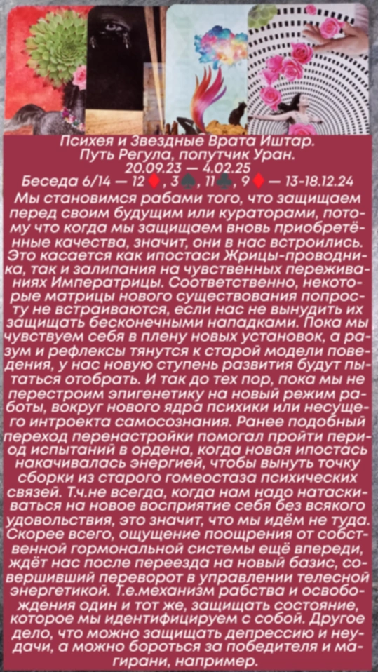 Сводный за 13.12.24