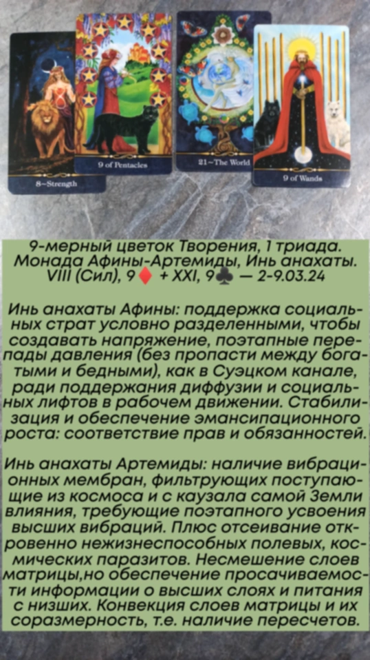 Аррокот 2-9.03.24