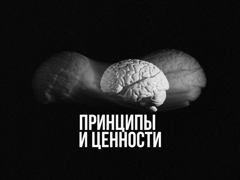 ЧЕМ ПРИНЦИПЫ ОТЛИЧАЮТСЯ ОТ ЦЕННОСТЕЙ