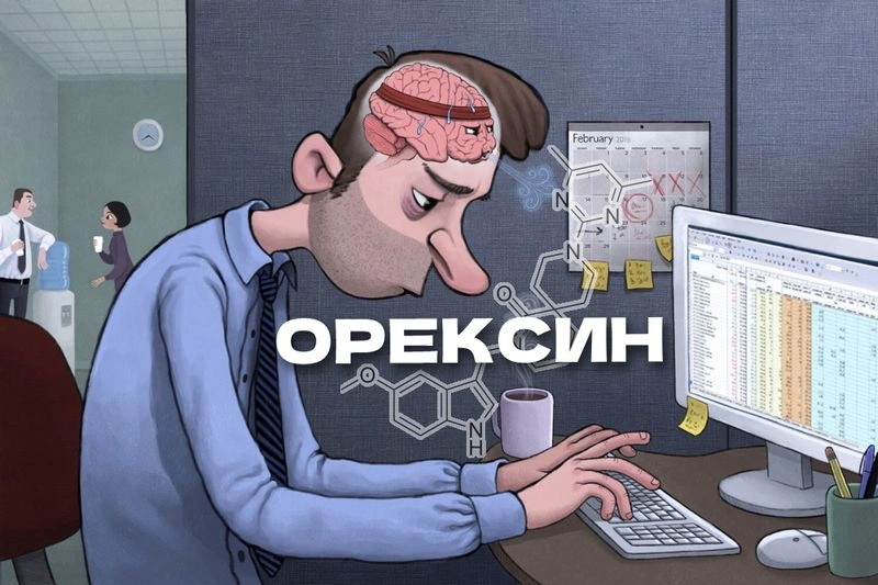 Как повысить Орексин?