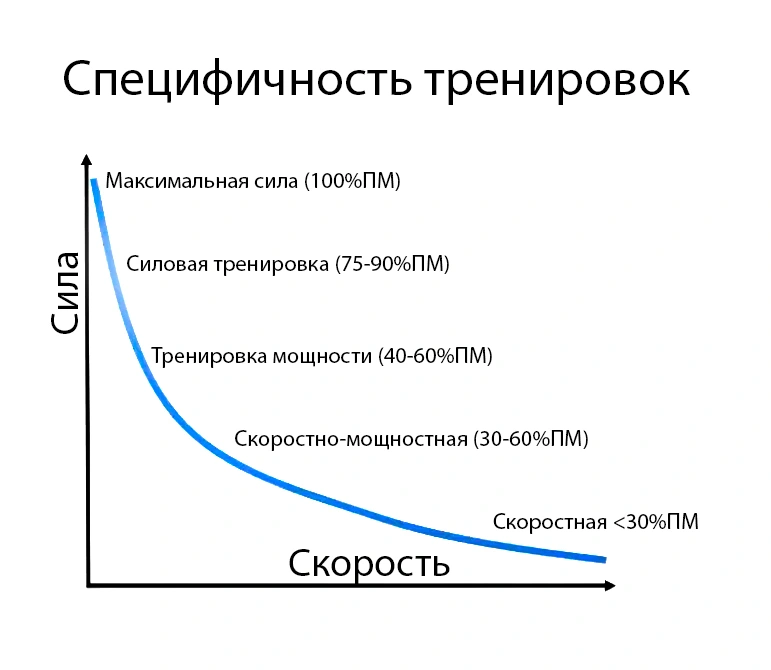 Лекция: Нейронная адаптация
