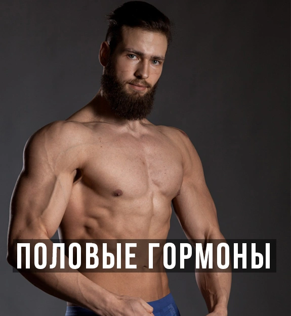 Мужские половые гормоны (ЭТО БАЗА)