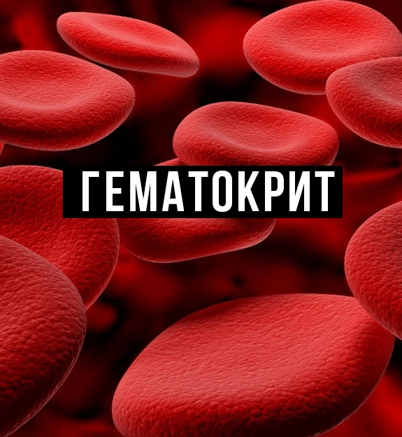 Густая кровь! Как снизить гематокрит?