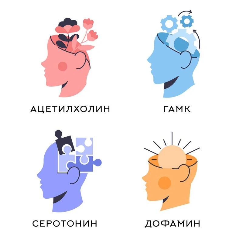 Узнай природу своего мозга и устрани нехватки!
