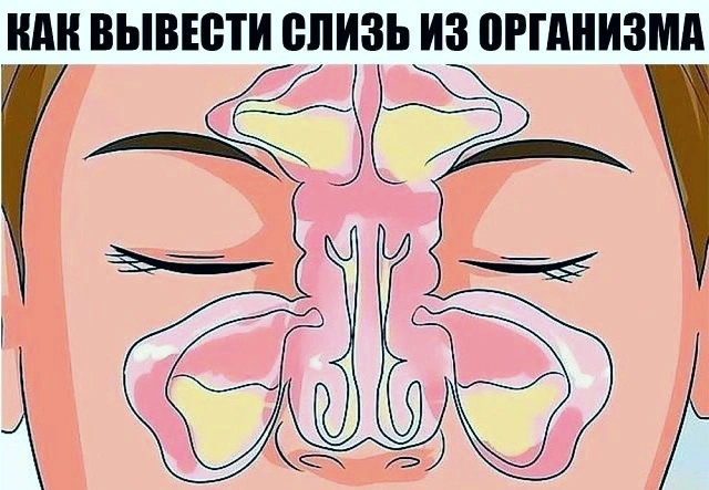 ☝КАК ВЫВЕСТИ СЛИЗЬ ИЗ ОРГАНИЗМА И СТАТЬ ЗДОРОВЕЕ НА 10 ЛЕТ.