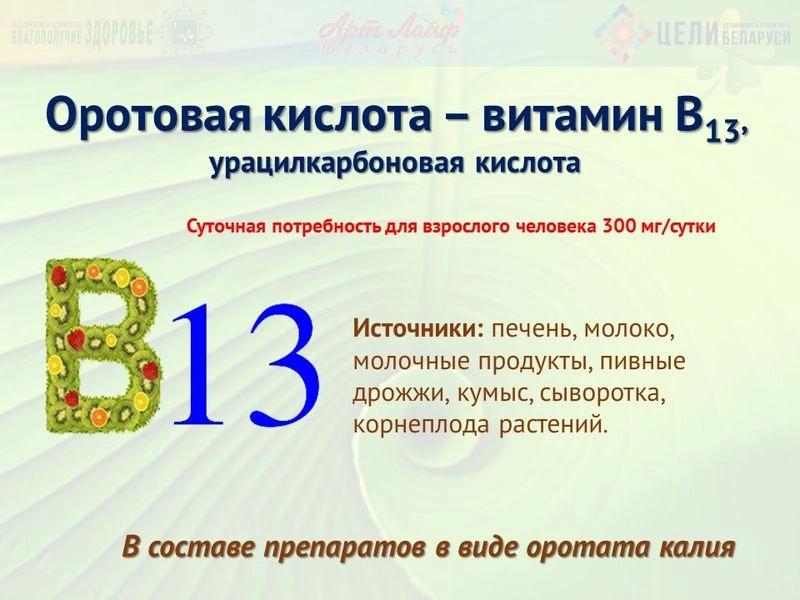 Витаминоподобные вещества. Оротовая кислота (В13)