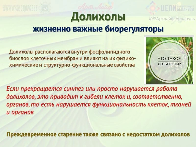 Долихолы. Полипренолы.