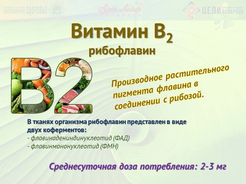 Водорастворимые витамины. Витамин В2